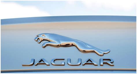 Shape of the jaguar logo: Jaguar Logo Meaning and History Jaguar symbol