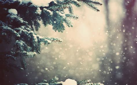 30 Beautiful Winter Wallpapers Backgrounds Images Design Trends