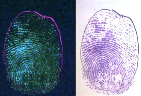 Fingerprint Detection Photon Systems
