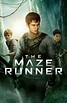 The Maze Runner - Where to Watch and Stream - TV Guide