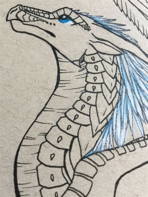 How to draw a dragon the body? Whiteout beginning to color Art by MJ | Wings of fire ...