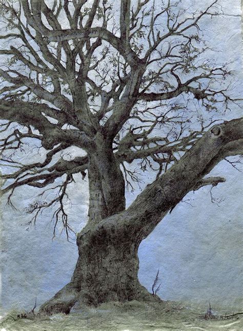 Secret Life Of Trees — Dina Brodsky Secret Life Tree Monochrome Art