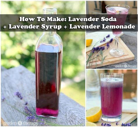 How To Make Lavender Soda Lavender Syrup Lavender Lemonade