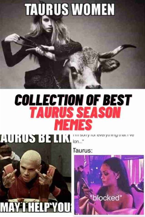 Collection Of TAURUS MEMES 2023 Taurus Season