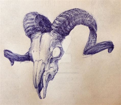 Ram Skull By Sketchingworlds On Deviantart