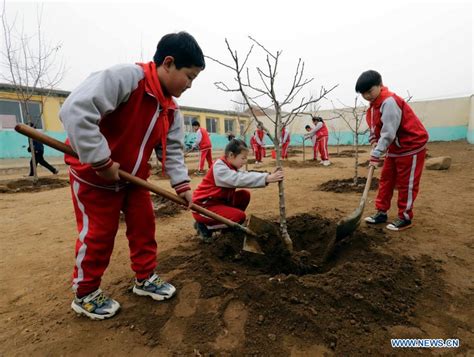 National Tree Planting Day Marked In China China News Sina English