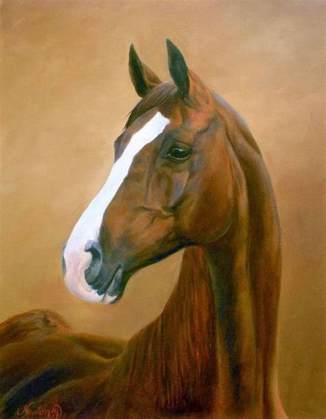 Retratos Cabezas Caballos Pintados Pretty Horses Horse Love Beautiful