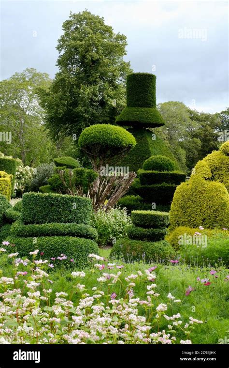 Levens Hall Cumbria House Hall Gardens Topiary Shapes Living