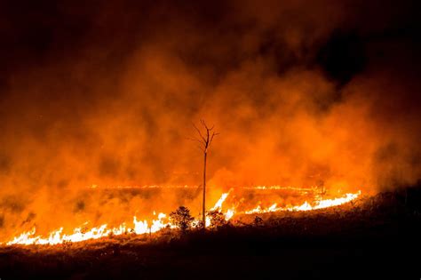 Fires Are Raging In The Amazon Heres What You Need To Know Office