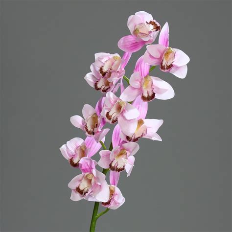 Orchid Cymbidium Lavender 98 Cm Artificial Flower By Dpi 19 10