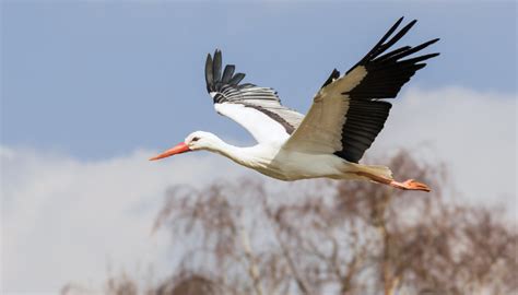 Найчастіше в цей день люди виносили на вулицю для тепле 30 березня віщувало урожайний рік. 30 березня: народний календар і астровісник