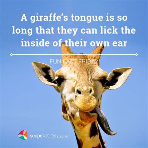 Glad I Am Not A Giraffe Dont Forget To Follow Us On Facebook O We