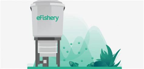 Investree and Startup eFishery Distribute IDR 30 Billion for Fish Farmers