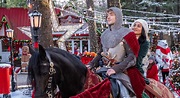 The Knight Before Christmas | Film-Rezensionen.de