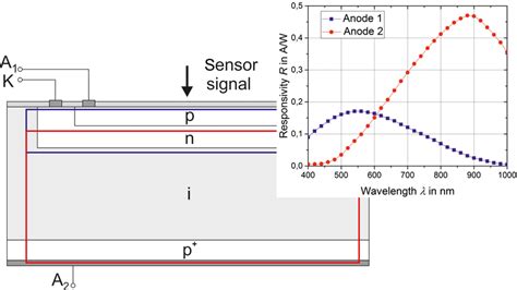 Photodiode Structure And Spectral Responsivity Curves Of The Wspd