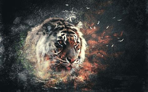 3d Tiger Wallpaper For Mobile Wallpaper