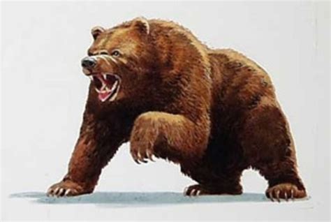 How To Cope With A Bear Market On Nse