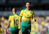 Norwich City: Jamal Lewis believes Canaries can stay in the Premier ...