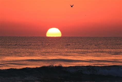 Daytona Beach Sunrise Photograph By Wild Expressions Photography Pixels