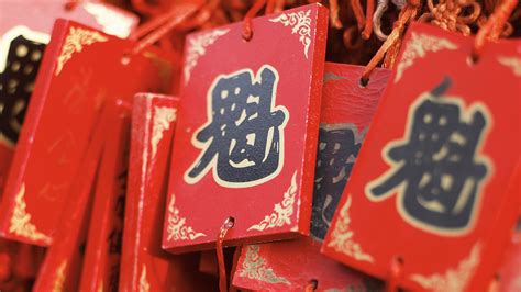 Magenta adalah warna harmoni universal dan keseimbangan emosional. Butuh keberuntungan? Cobalah warna merah | Dulux