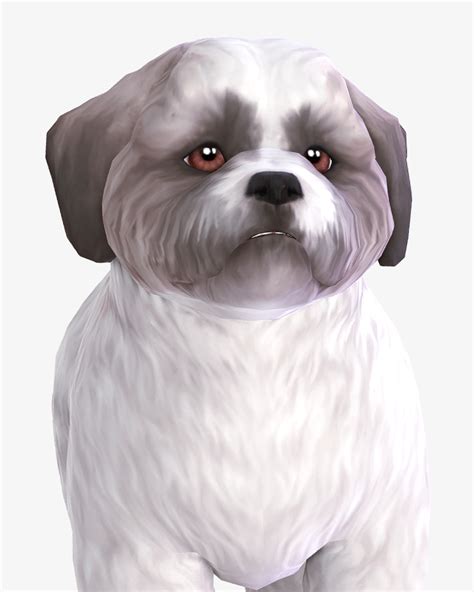 Daydreamin Defaults Pets This Is A Set Of Nolan Sims