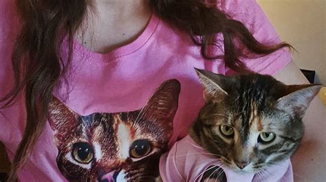 The Ultimate T For Your Devoted Cat Owning Friend Cats Cat Tshirt