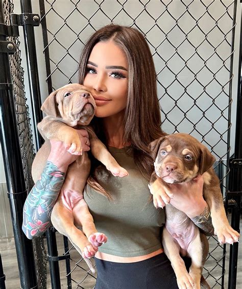 Jessica Wilde Puppies Bigmountainbullies If You Look