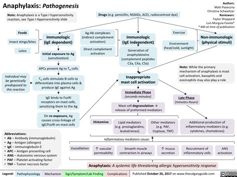 Anaphylaxis Pathogenesis Calgary Guide