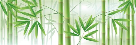 Bamboo Background Green Leaves Stock Illustrations Vecteurs Clipart