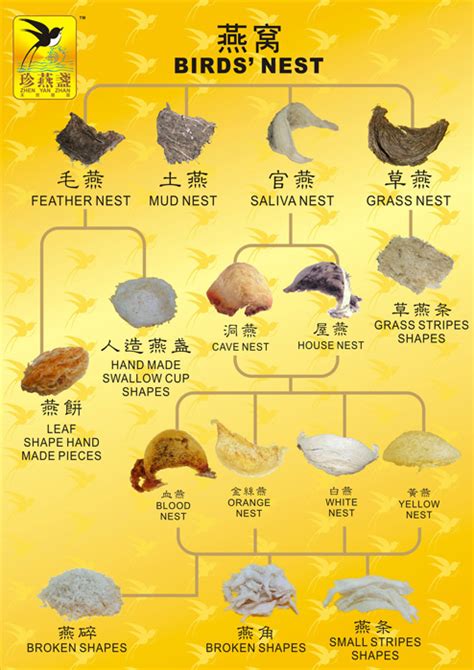 Product name raw bird nest pure pieces origin selangor, malaysia description bird's nest has been used as tonic for thousands of years and its explore the wide category of bird nest price in malaysia available on the site and choose the perfect match for you. Bird Nest Price Malaysia - dino-syukl