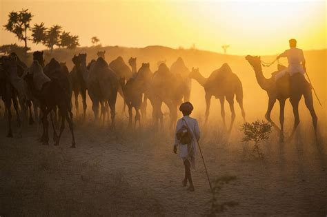 Nomads In India National Geographic Travel Photography Inspiration