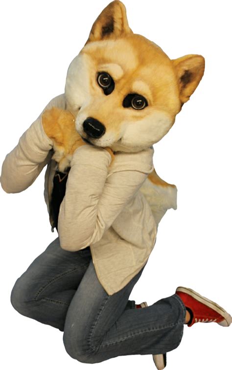 It was initially introduced as joke but dogecoin quickly developed its own online community and. Furry doge for those who want to post cringe : dogelore