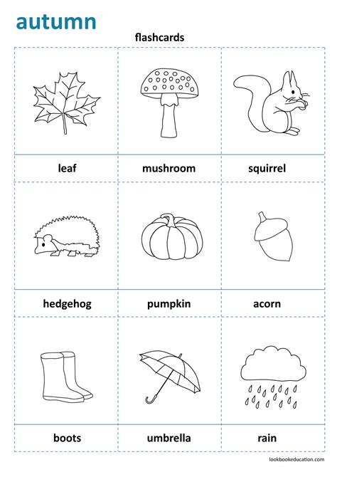 Flashcards Fall Autumn Worksheet Preschool Kindergarten And First
