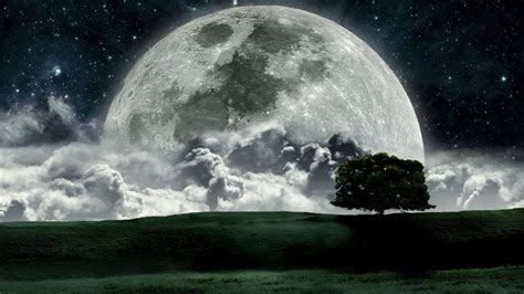 We did not find results for: Cool Moon Backgrounds - Wallpaper Cave