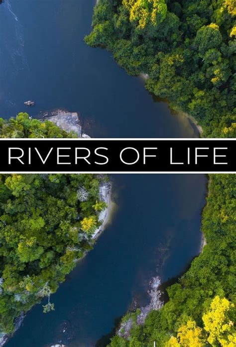 Rivers Of Life 2019