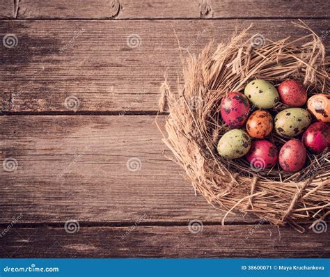 Easter Egg Nest On Wooden Background Stock Image Image Of Polka T