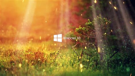 Nature 1080p Windows 10 Series Wallpaper Youtube