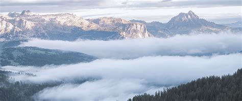 Download Wallpaper 2560x1080 Mountains Forest Fog Clouds Landscape