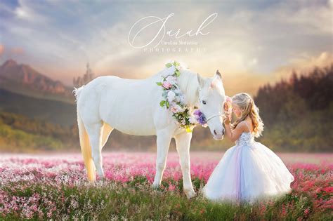 Beautiful Unicorn Photoshoot By Sarah At Carolina Mediastar Fairy