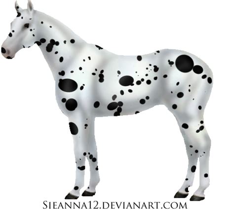 Spotted Horse Cm By Sieanna12 On Deviantart