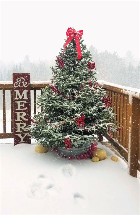 How To Decorate An Outdoor Christmas Tree Fresh Eggs Daily With Lisa