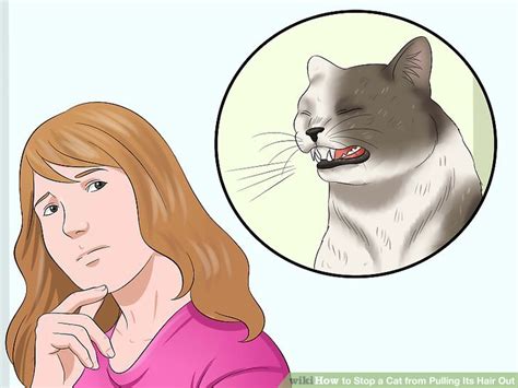At the start of the battle, doges and snaches spawn and respawn every 3~20 seconds. How to Stop a Cat from Pulling Its Hair Out: 10 Steps