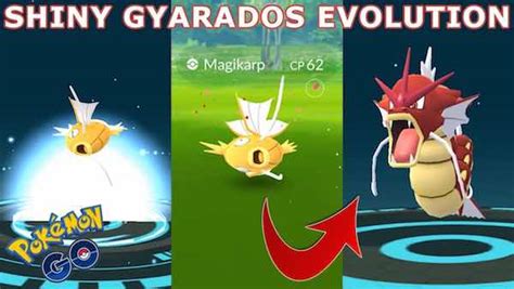 Guía Para Conseguir A Gyarados En Pokémon Magikarp Jump