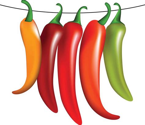 Free Vector Of The Week Chili Peppers The Shutterstock Blog