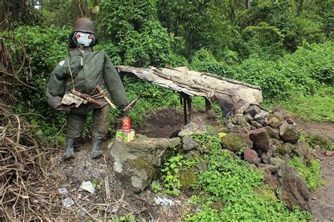 Danach die vulkan besteigung mit übernachtung auf dem berg. D.R. Kongo: Gorilla Tracking und Vulkan-Besteigung im ...