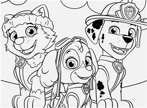 Skye And Everest Paw Patrol Coloring Page Depp My Fav Ukup