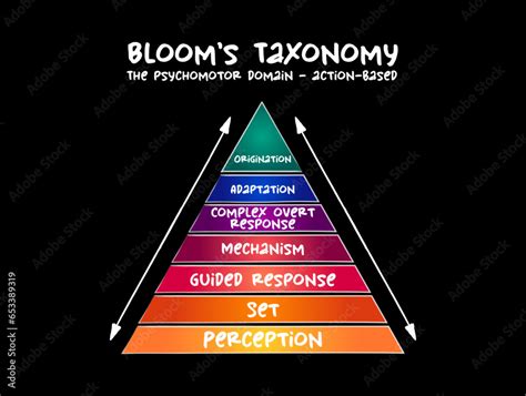 Hand Drawn Blooms Taxonomy The Psychomotor Domain Action Based