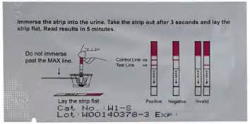 Home pregnancy tests measure the amount of hcg in your urine. Pregnancy Test Strips Results Negative - Pregnancy Symptoms