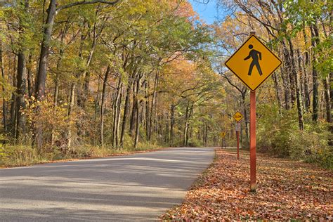Free Photo Winding Autumn Road Hdr Post Shade Free Download