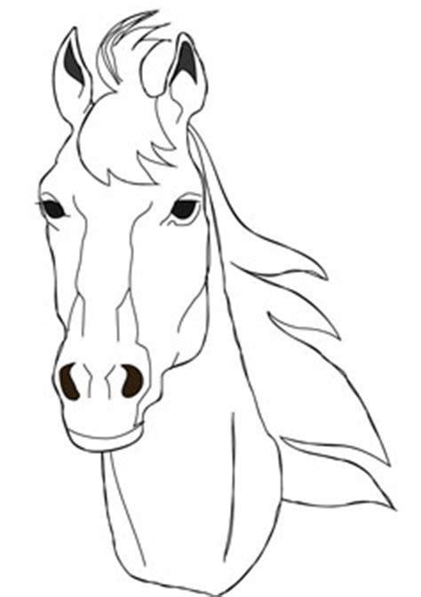 Draw Horse Heads And Faces Step By Step Pets Animals Horse